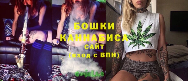 ГАЛЛЮЦИНОГЕННЫЕ ГРИБЫ Новозыбков