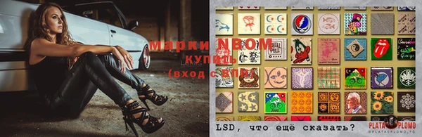MESCALINE Новодвинск