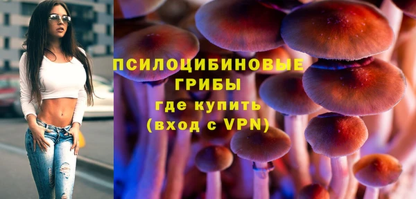 ГАЛЛЮЦИНОГЕННЫЕ ГРИБЫ Новозыбков