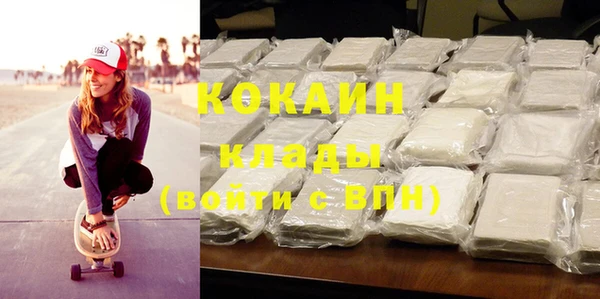 гашик Няндома