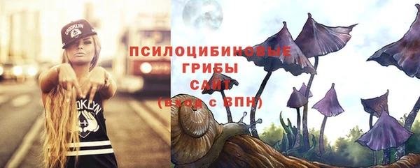 ГАЛЛЮЦИНОГЕННЫЕ ГРИБЫ Новозыбков