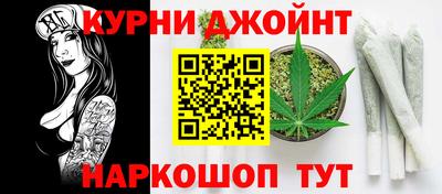 крисы Аргун