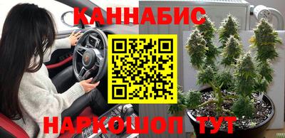 крисы Аргун