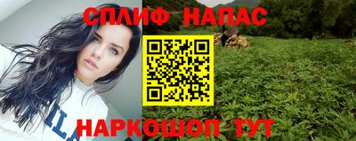 крисы Аргун