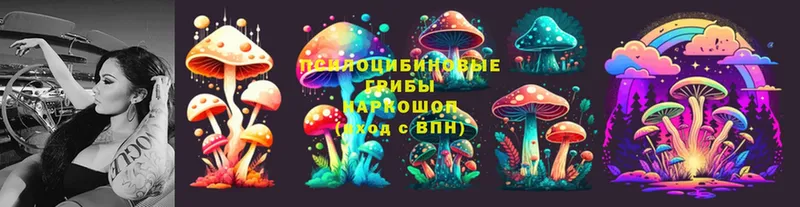 Галлюциногенные грибы Magic Shrooms  Улан-Удэ 