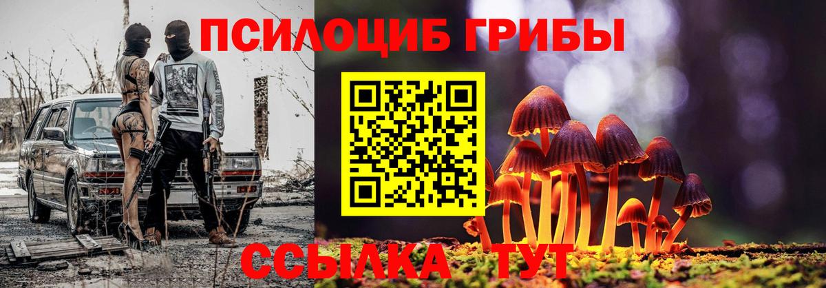 Улан-Удэ  Галлюциногенные грибы Psilocybe  Вход с VPN 